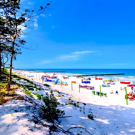 Nowy Z Widokiem Na Morze